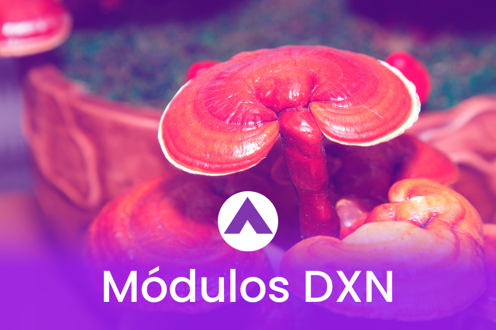 godaxen-curso-lp-modulos-dxnV2